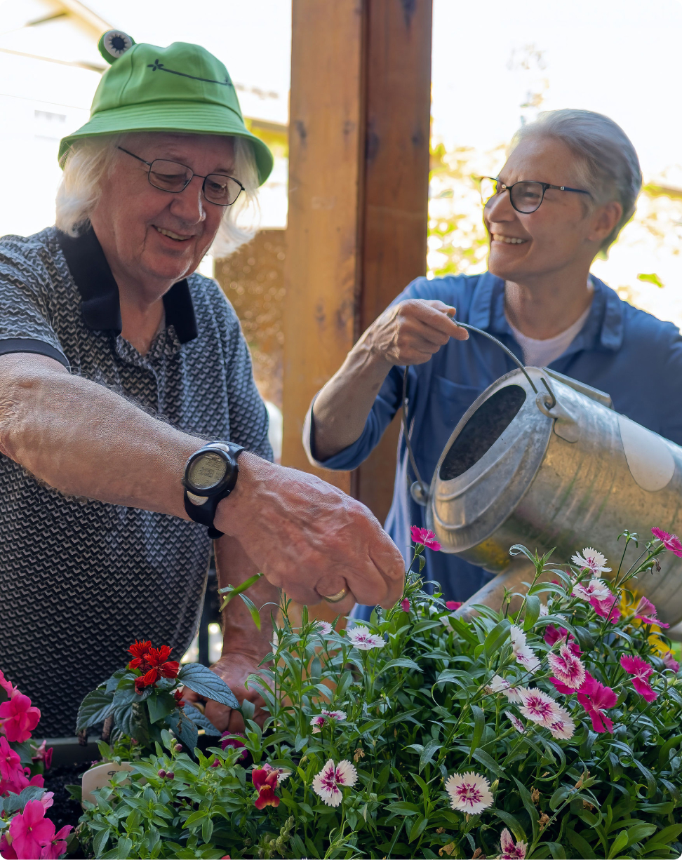 Two older adults gardening