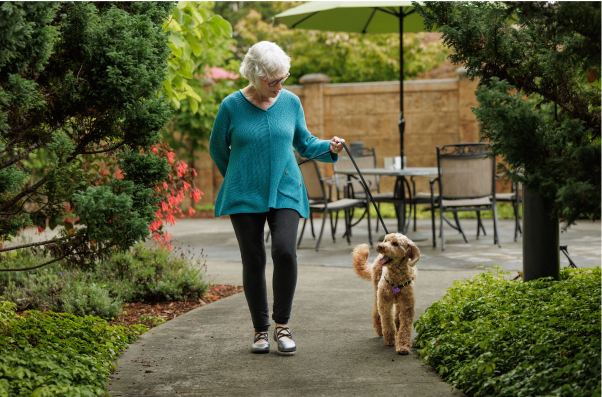 Older woman walking her dog