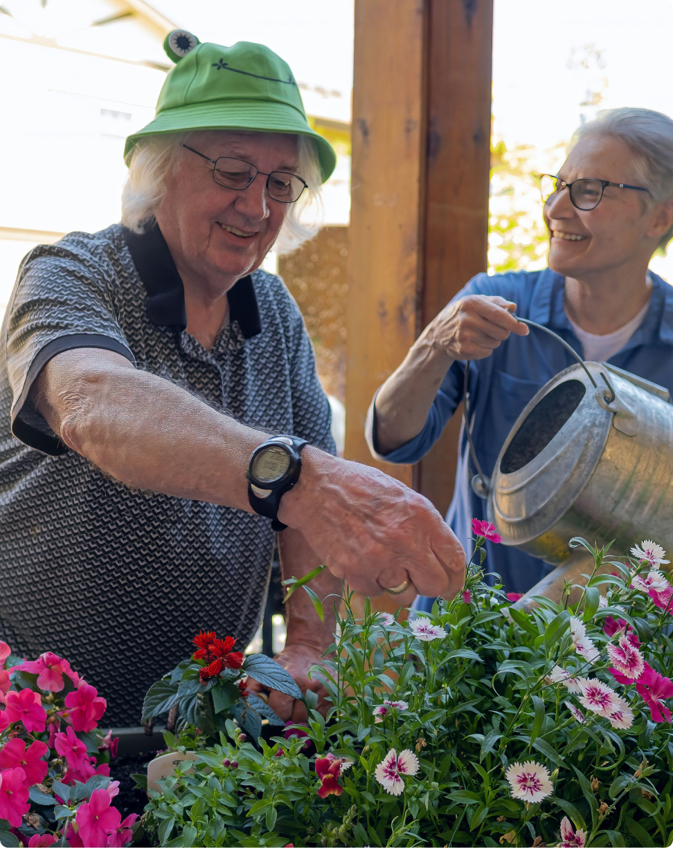 Two people are joyfully gardening together, watering and tending to vibrant flowering plants under a wooden structure in a bright, sunny setting.