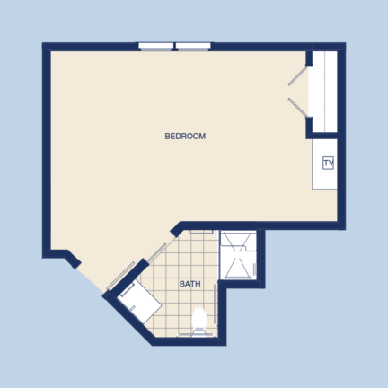 Floor plan featuring a bedroom with TV, closet space, and adjacent bathroom with shower, sink, and toilet on a light blue background.