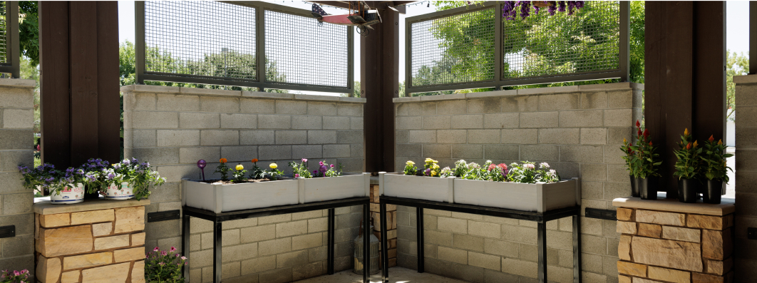 Enclosed garden area with raised plant beds and colorful flowers, surrounded by stone and concrete walls under a clear, sunny sky.