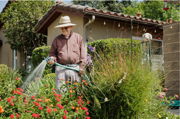 A person in a straw hat waters vibrant garden flowers next to a house on a sunny day, surrounded by lush greenery.