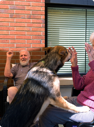 Two people sitting on a patio with a German Shepherd. One person gestures, while the dog interacts with the other person.