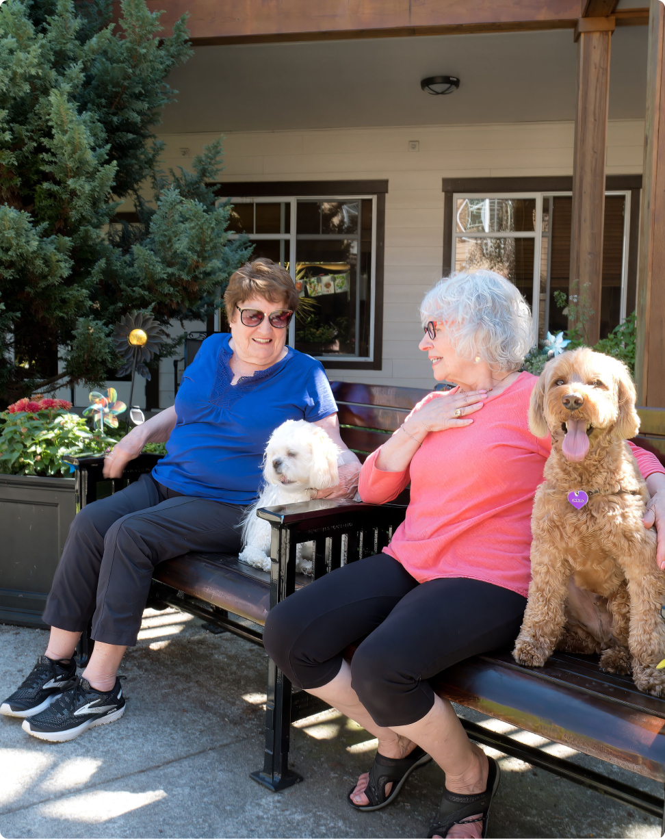 Two people sit on a bench outside, each with a dog. They are enjoying a sunny day, surrounded by plants.