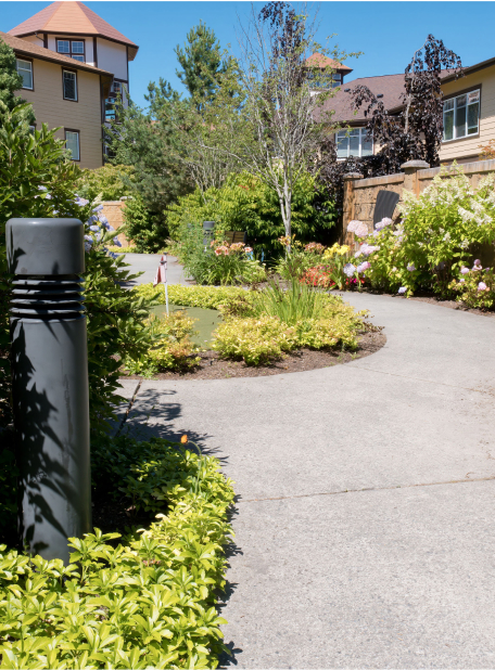 A sunny pathway winding through lush gardens, surrounded by residential buildings, flowers, and greenery. Peaceful suburban environment with no visible people.