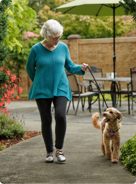 A person in a blue sweater walks a curly-haired dog on a path, near outdoor tables and greenery, on a pleasant day.